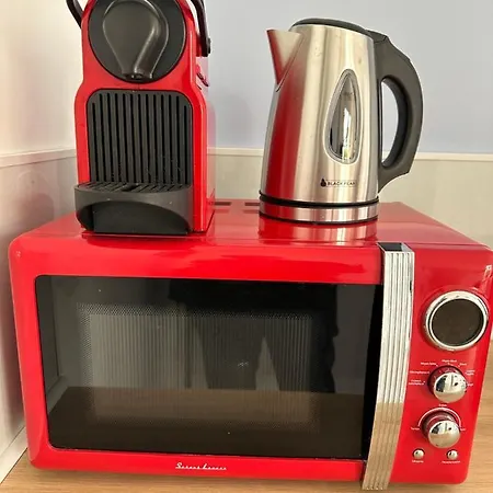 Green&purple 24-24 Access * 鸽林