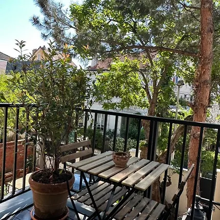 Green&purple 24-24 Access *