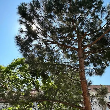 公寓 Green&purple 24-24 Access 鸽林