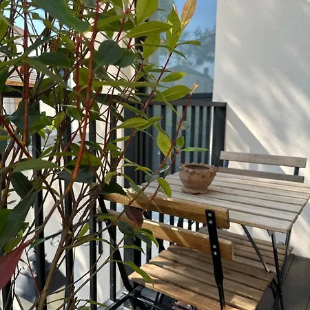 Green&purple 24-24 Access * 鸽林