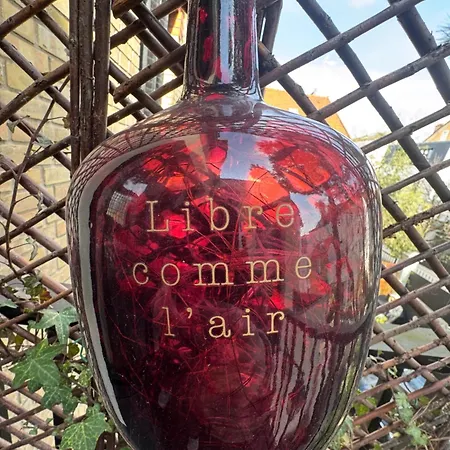 Green&purple 24-24 Access 鸽林